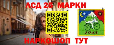 эйфоретик Кимры