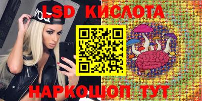 эйфоретик Кимры