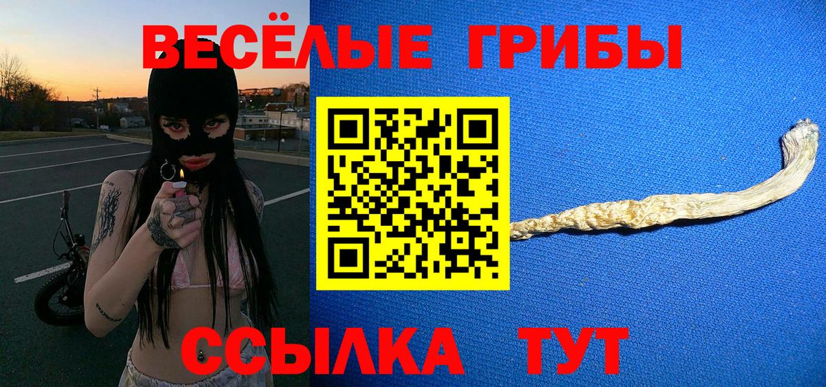 Златоуст  наркота  Вход с VPN  Псилоцибиновые грибы GOLDEN TEACHER 